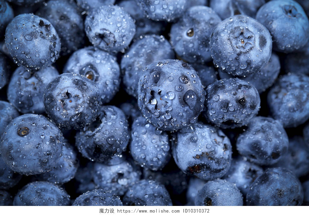新鲜蓝莓一堆蓝莓水果浆果